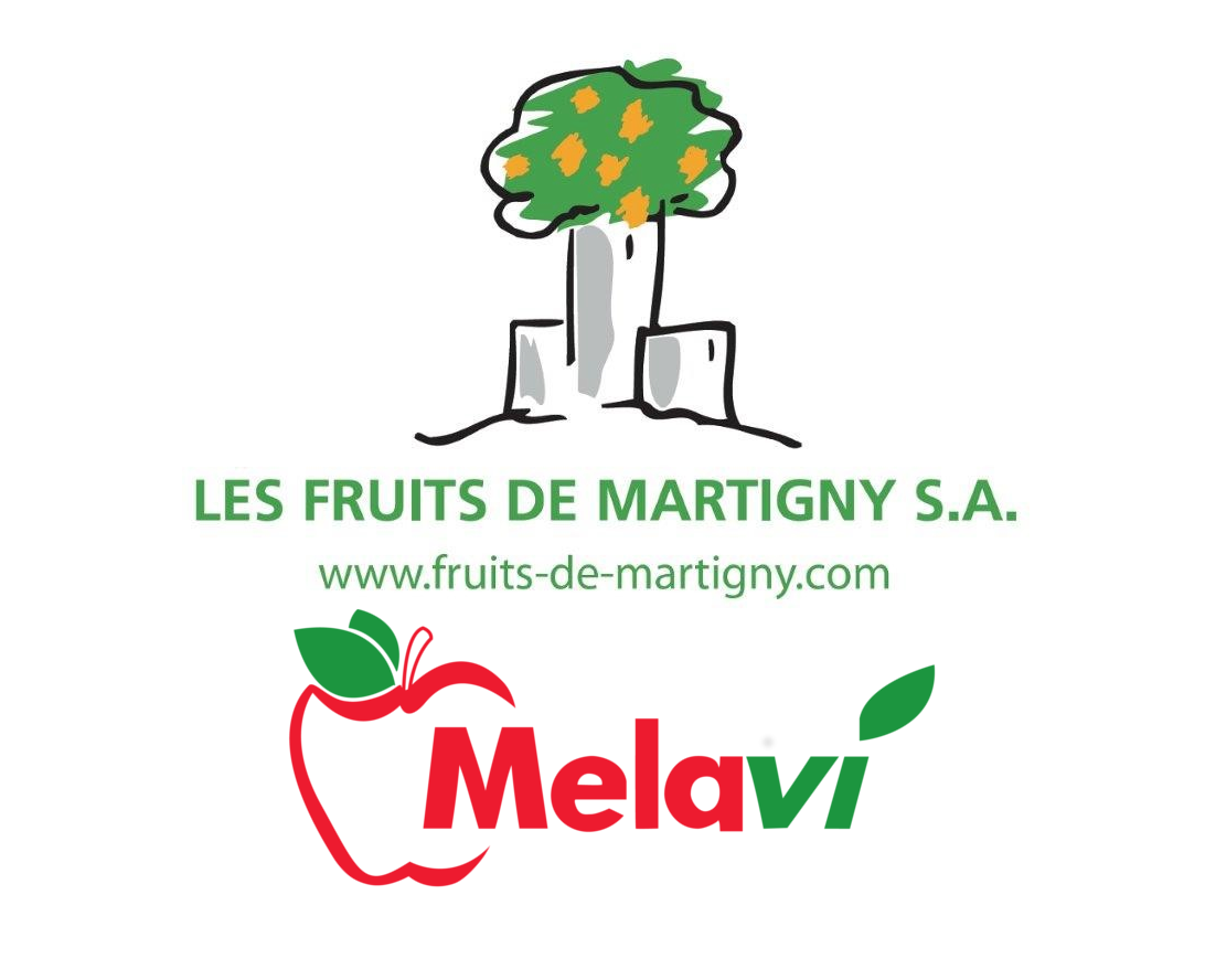 MELAVILFDM 2